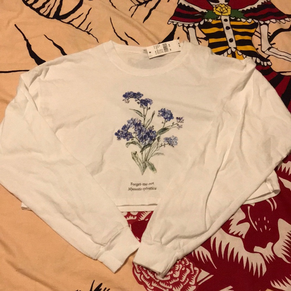 Brandy Melville crop top